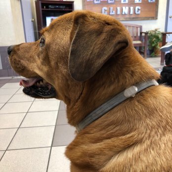 Mobley Veterinary Clinic - Veterinarians Near Me - Nashville, Tennessee Mobley Veterinary Clinic - Veterinarians Near Me - Nashville, Tennessee
