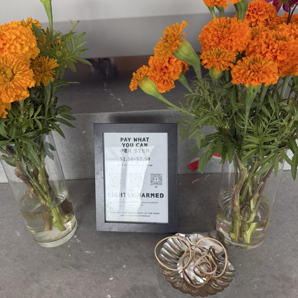 Monday Coffee - Flowers from local farm - Coffee & Tea Near Me - Chicago, Illinois Monday Coffee - Flowers from local farm - Coffee & Tea Near Me - Chicago, Illinois