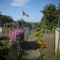 Kleingärtnerverein Im Kley e.V.
