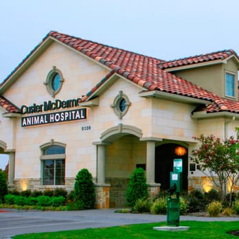 Custer McDermott Animal Hospital - Custer McDermott Animal Hospital Plano, Texas - Veterinarians Near Me - Plano, Texas Custer McDermott Animal Hospital - Custer McDermott Animal Hospital Plano, Texas - Veterinarians Near Me - Plano, Texas