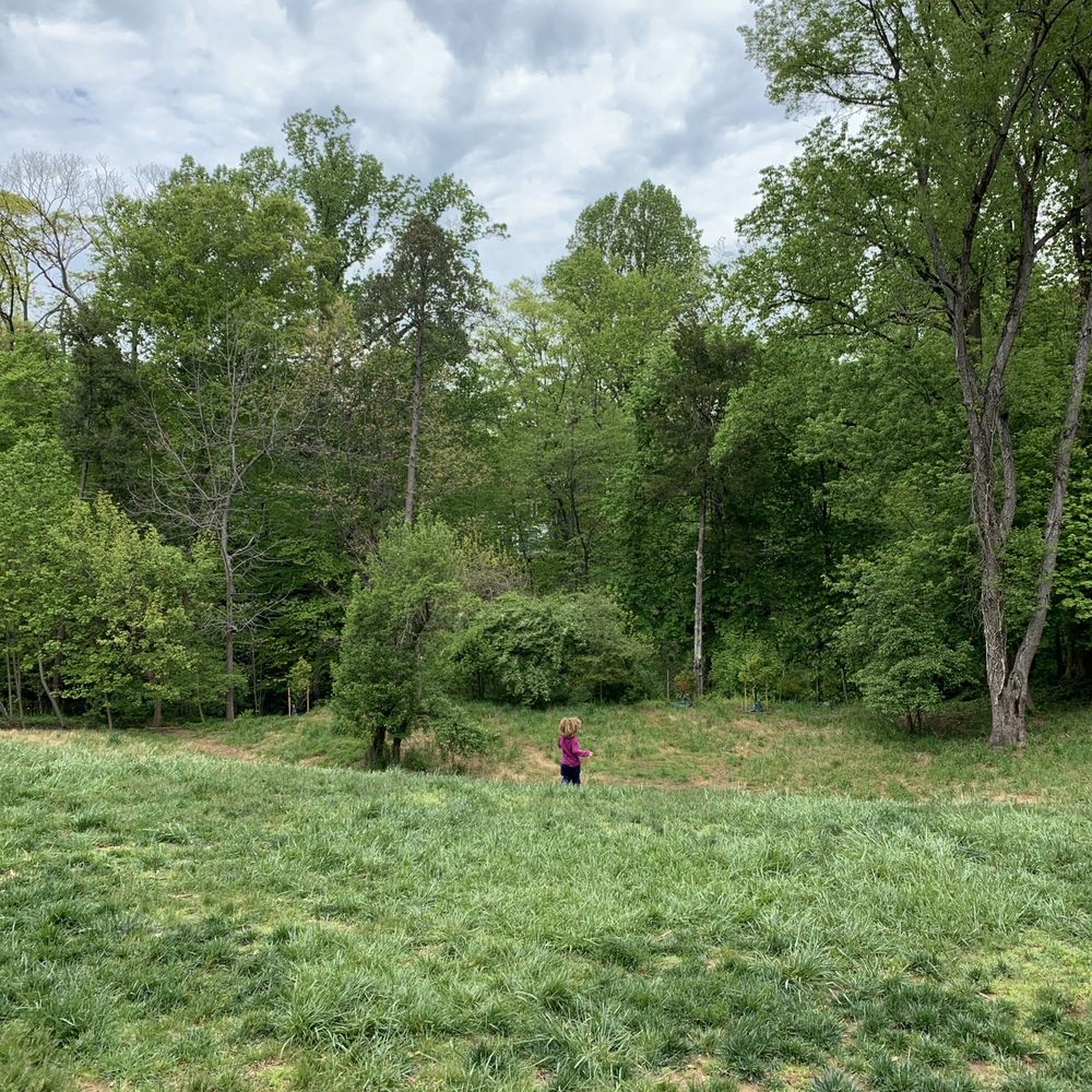 Tregaron Estate - Local Flavor Near Me - Washington, DC, District of Columbia
