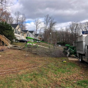 Branson's Tree Service - Tree Services Near Me - Fredericksburg, Virginia