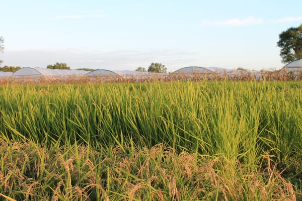 Blue Moon Acres Buckingham, PA by null