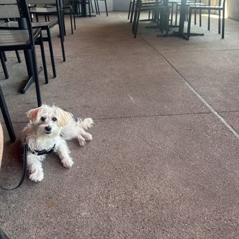 Hurricane Grill & Wings - Pet friendly - American Near Me - Chula Vista, California