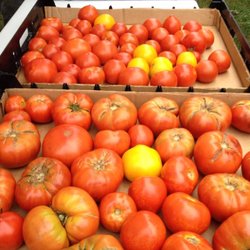 Bellevue, Nebraska Farmers' Market