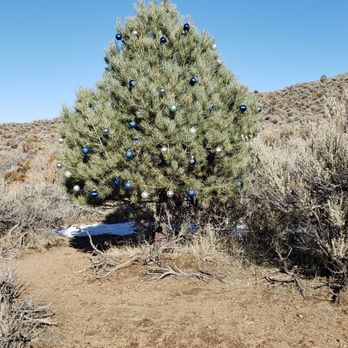 Prison Hill Recreation Area - Christmas surprise on Prision Hill - Parks Near Me - Carson City, Nevada Prison Hill Recreation Area - Christmas surprise on Prision Hill - Parks Near Me - Carson City, Nevada