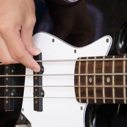 Cappella Music Academy - Register for Bass Lessons! 253-470-8050 info@cappellaperformingarts.com