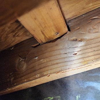 Smith Family Exterminating - Pest Control Near Me Smith Family Exterminating - Pest Control Near Me