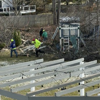 EDZ Tree Service - Damages - Tree Services Near Me