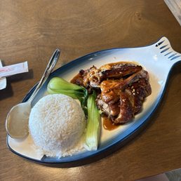 Duck with Rice Duck with Rice