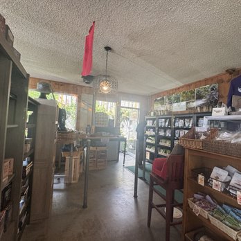 The Green Salmon - Inside - Coffee & Tea Near Me - Yachats, Oregon The Green Salmon - Inside - Coffee & Tea Near Me - Yachats, Oregon