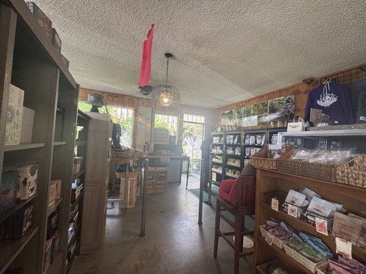 Green Salmon Coffee Company by null