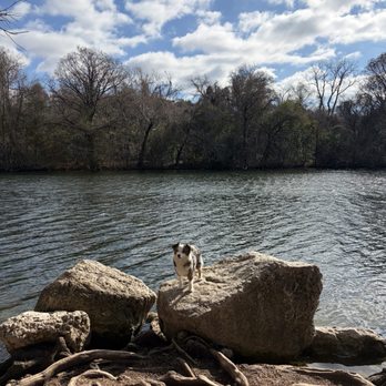 Red Bud Dog Park - Dog Parks Near Me - Austin, Texas Red Bud Dog Park - Dog Parks Near Me - Austin, Texas