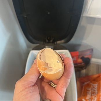 Primal Pastures - Weak egg shell.  Crumbles every time. - CSA Near Me - Murrieta, California