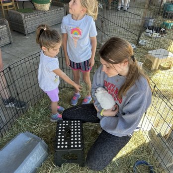 Piping Rock Horses - Petting bunnies - Horseback Riding Near Me - Truckee, California Piping Rock Horses - Petting bunnies - Horseback Riding Near Me - Truckee, California