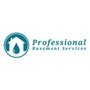 Professional Basement Services