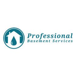 Professional Basement Services