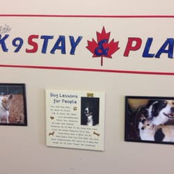 Sadie's K9 Stay and Play - Sign inside, people need training too!