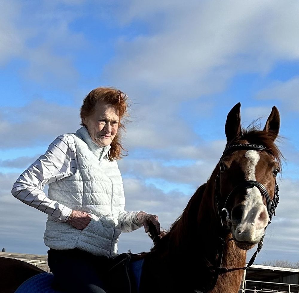 Matthias Arabians - equestrian in Norwalk, IA