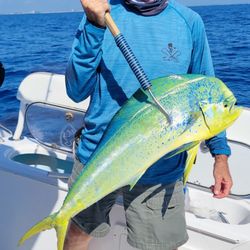 Out of the Deep Adventures LLC