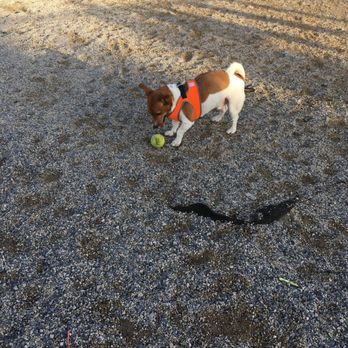 Little Bay Dog Run - Dog Parks Near Me - Bayside, New York