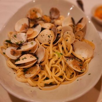 Trattoria Luna - a bowl of pasta with clams - Italian Near Me - Miami, Florida