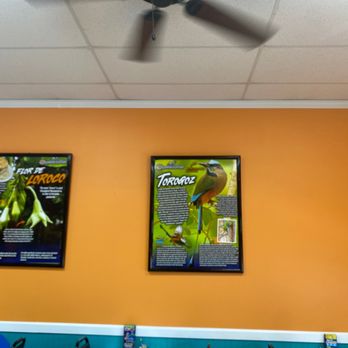 Pupusas Locas - two posters on the wall - Salvadoran Near Me - Covington, Washington