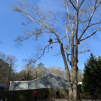 JJ's Landscape and Tree Service - Tree - Tree Services Near Me - Decatur, Georgia