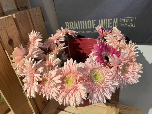 Hotel Brauhof Wien by null