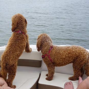 Beach Buddy Tours - Boat Tours Near Me - Cape Coral, Florida