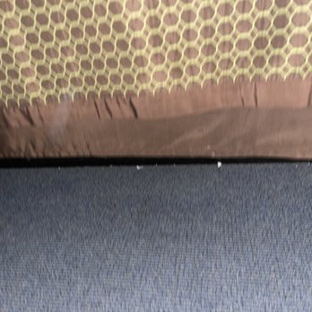 El Rancho Inn - Dirty carpet - Hotels Near Me - Hawthorne, California