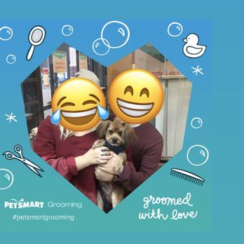 PetSmart - Pet Training Near Me - Falls Church, Virginia PetSmart - Pet Training Near Me - Falls Church, Virginia
