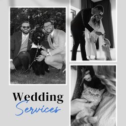 Fetch! Pet Care East Hollywood