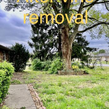 Tree & Yard Handling - After Tree & Yard Handling - Tree Services Near Me