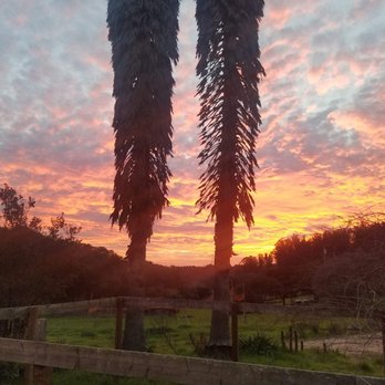 Jacks Termite Solutions - Sunset - Pest Control Near Me - Royal Oaks, California