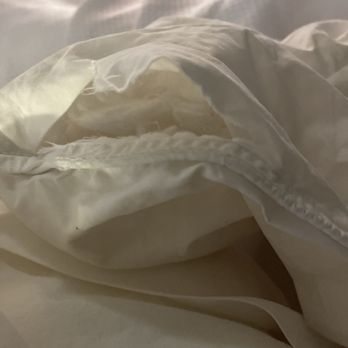 Quality Inn Gainesville - The blanket. - Hotels Near Me - Gainesville, Texas Quality Inn Gainesville - The blanket. - Hotels Near Me - Gainesville, Texas