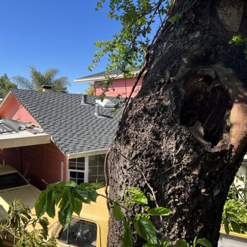 Appletree Services - Tree Services Near Me Appletree Services - Tree Services Near Me