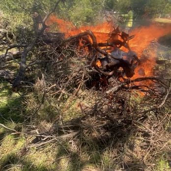Firefall Fuels Mitigation - Tree Services Near Me Firefall Fuels Mitigation - Tree Services Near Me