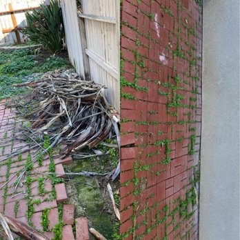 Get That Junkk - Side yard debris - Junk Removal & Hauling Near Me - Stockton, California Get That Junkk - Side yard debris - Junk Removal & Hauling Near Me - Stockton, California