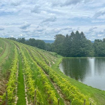 Blue Mountain Vineyards & Cellars - Wineries Near Me - New Tripoli, Pennsylvania Blue Mountain Vineyards & Cellars - Wineries Near Me - New Tripoli, Pennsylvania