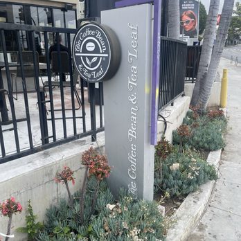 The Coffee Bean & Tea Leaf - Cute sign - Coffee & Tea Near Me - West Hollywood, California The Coffee Bean & Tea Leaf - Cute sign - Coffee & Tea Near Me - West Hollywood, California