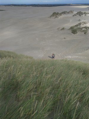 Råbjerg Mile by null