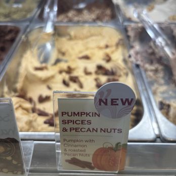 Venchi - Seasonal flavor - Gelato Near Me - San Diego, California