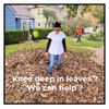 Good Neighbor Lawn & Landscaping gift card