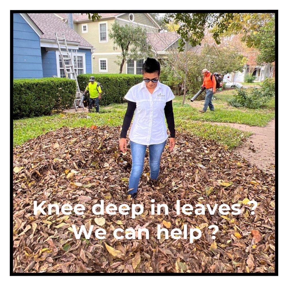 Good Neighbor Lawn & Landscaping - tree service in Austin, TX