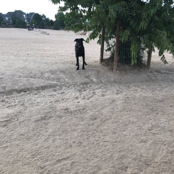 Kennedy Dog Park - Dog Parks Near Me - Denver, Colorado Kennedy Dog Park - Dog Parks Near Me - Denver, Colorado