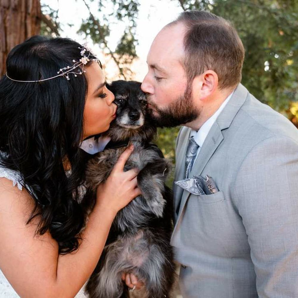 Rachelle Photography - Kisses for Chunky. - Event Photography Near Me - Sacramento, California Rachelle Photography - Kisses for Chunky. - Event Photography Near Me - Sacramento, California