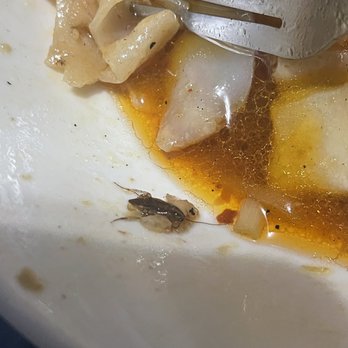 Hoanh Long Vietnamese & Chinese Restaurant - COCKROACHES IN MY 79.Hu Tieu Xao Ga - Vietnamese Near Me - Chicago, Illinois