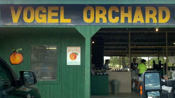 Vogel Orchard by null