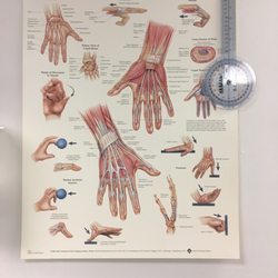 VCU Medical Center Hand Therapy